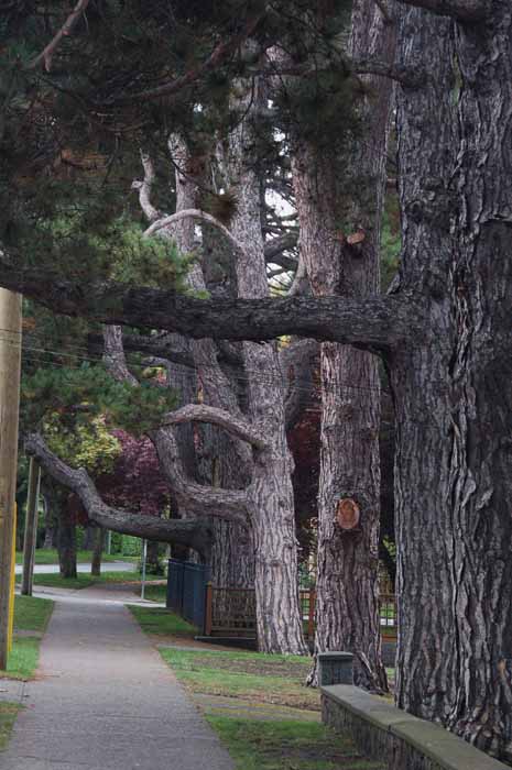 Oak Bay